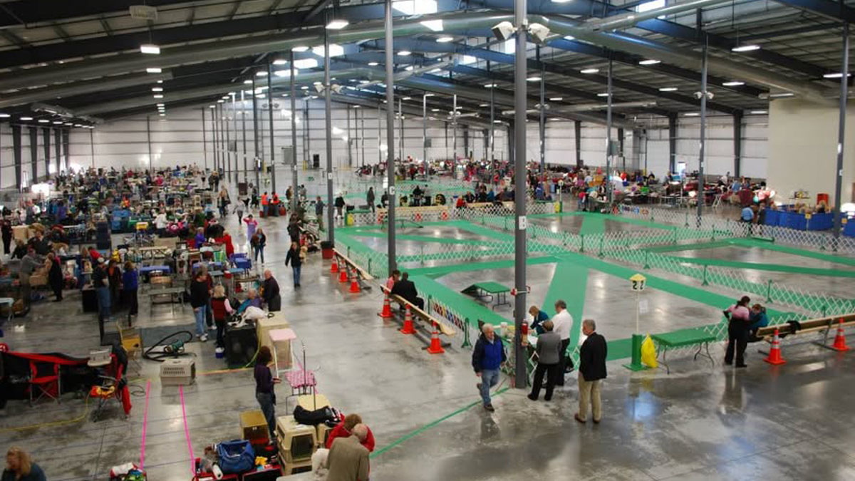 Grayslake Summer Cluster Dog Shows